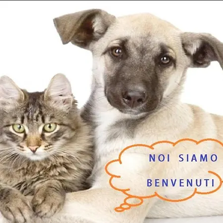 Apartamento Incantevole Con Box Auto San Remo